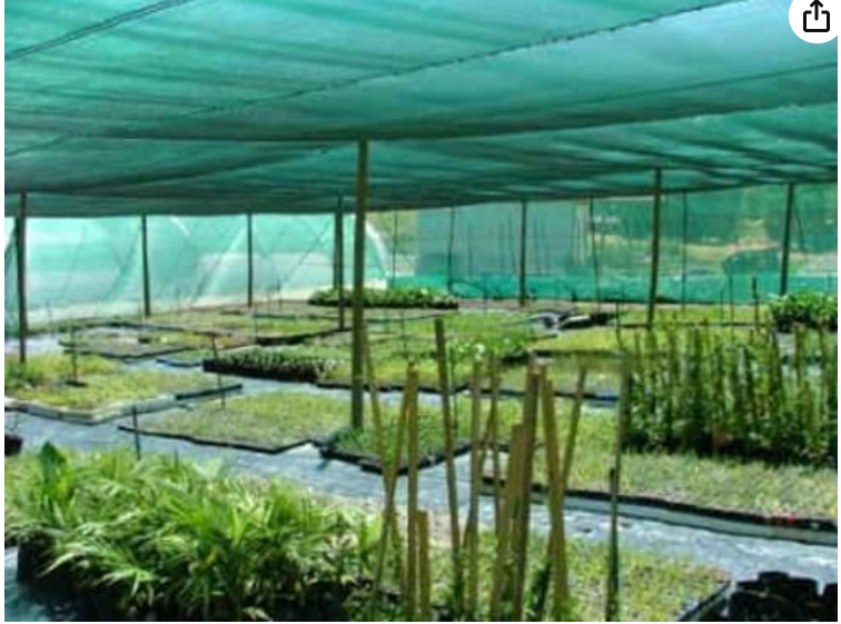 Picture of SHADE NET - 50% (9 FiT-BY 10 FiT)