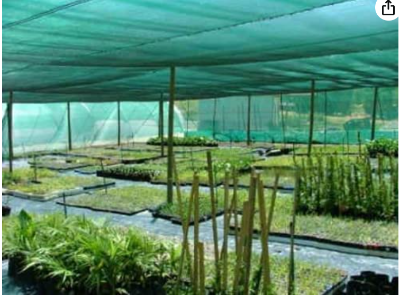 Picture of SHADE NET - 50% (9 FiT-BY 10 FiT)