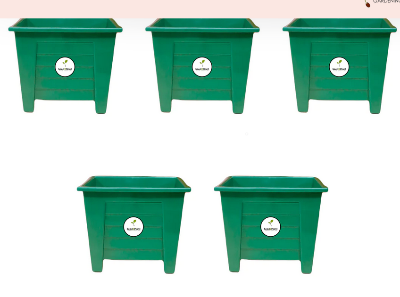 Picture of Flower Pot 5 Inchi 10 Pcs
