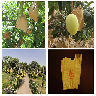 Picture of Mango paper bag/mango protection bag/fruit protection bags 5 pcs
