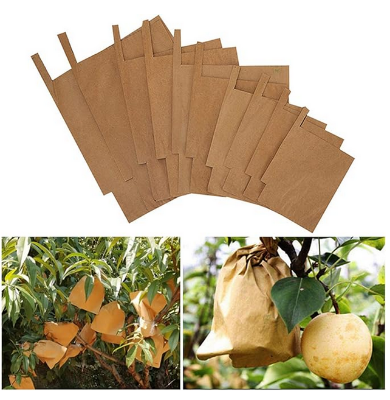 Picture of Mango fruit protection bag 50Pcs