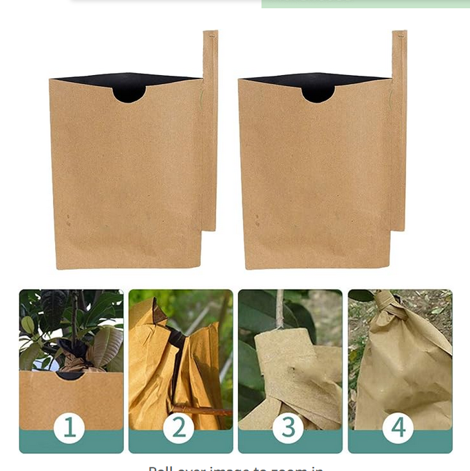 Picture of Mango fruit protection bag 50Pcs