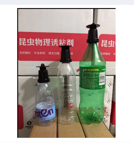 Picture of fruit fly trap Plastic Mini Pheromone Lure Insect Control Fruit Fly Bottle Trap -Pheromone Trap head for use in agriculture 1 Head