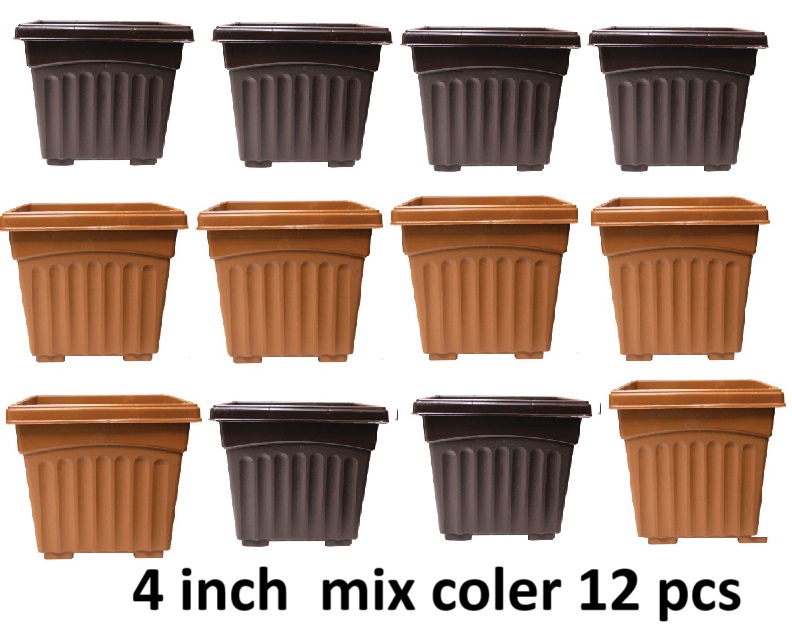 Picture of 4 Inch Khandani Square Planter ( Mix coler- 12 pcs )