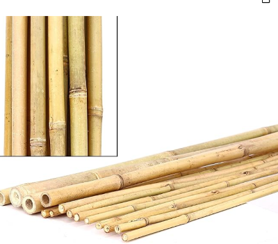 Picture of Bamboo Stakes  10 Pcs for gardening(2 Fit Long)