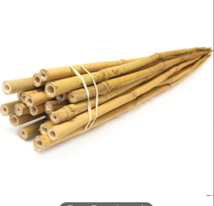 Picture of Bamboo Stakes  10 Pcs for gardening(2 Fit Long)