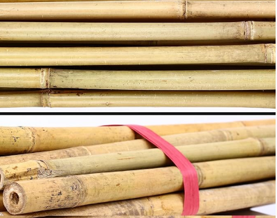 Picture of Bamboo Stakes  10 Pcs for gardening(2 Fit Long)