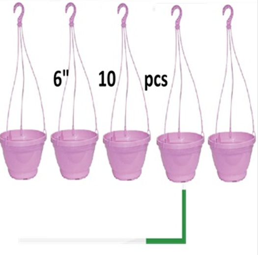 Picture of Bp Hanging flower round tub ( 6 inch - 10 pcs -set)
