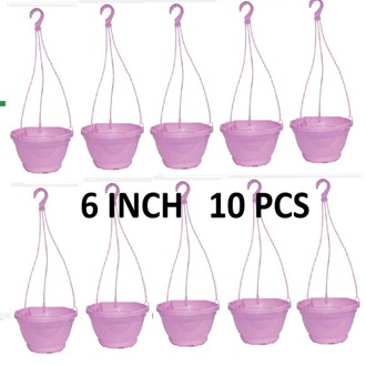 Picture of Bp Hanging flower round tub ( 6 inch - 10 pcs -set)