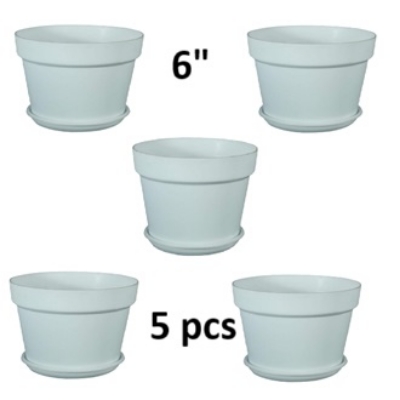 Picture of 6 Inchi White Mat Tob With Tray 5 pcs