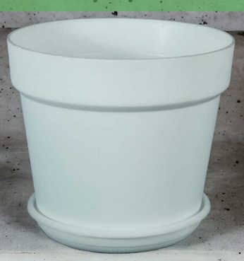 Picture of 6 Inchi White Mat Tob With Tray 5 pcs