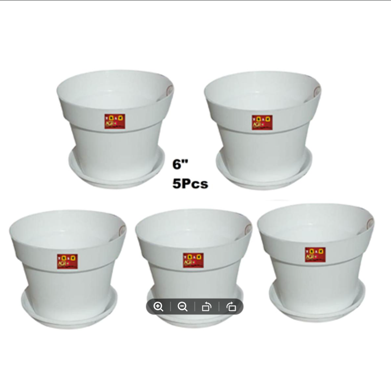 Picture of 6 Inchi White Mat Tob With Tray 5 pcs