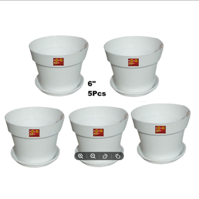 Picture of 6 Inchi White Mat Tob With Tray 5 pcs