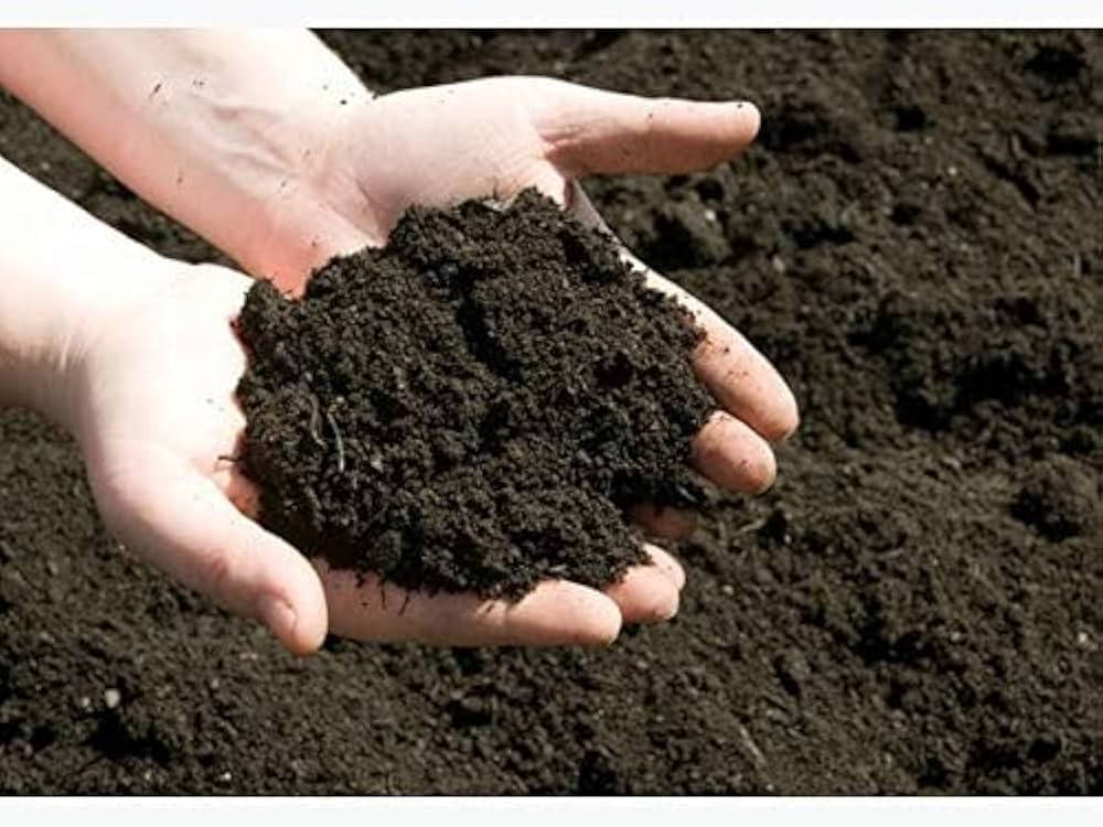 Picture of Cow Manure 1kg-The Best Food For Soil