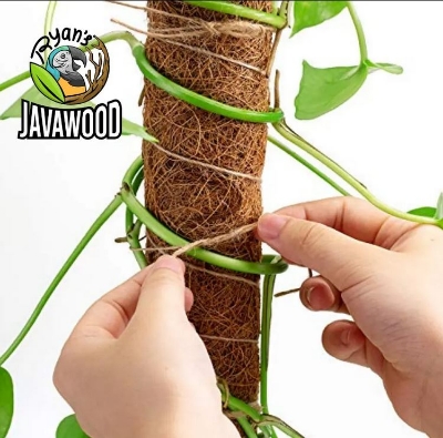 Picture of 12 inch Grow Stick - 3 pcs