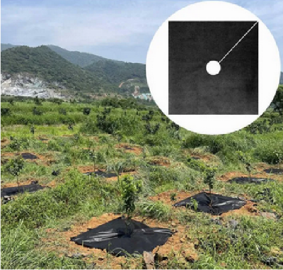 Picture of Black geotextile 5 Pcs for garden to stop grass growing weed barrier and weed control fabric Flower bad anti-UV weed mat