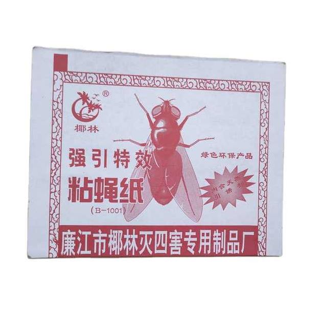 Picture of Fly Trap for Home Fly 3 Pcs