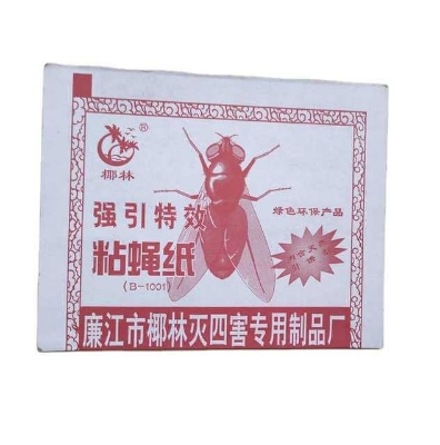 Picture of Fly Trap for Home Fly 3 Pcs