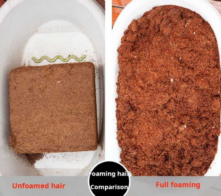 Picture of Cocopeat Block 4kg Expand up to 30kg