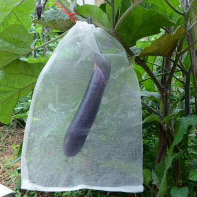 Picture of Insect Net Bag Anti Insect Net for Greenhouse Cover Price 6Pcs(15*25cm)