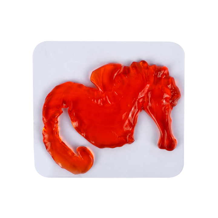 Picture of Animal Shaped Slime 5pc Set