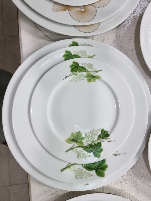 Picture of Newfangled - 52 Pcs Ceramic Dinner set Green leaf .