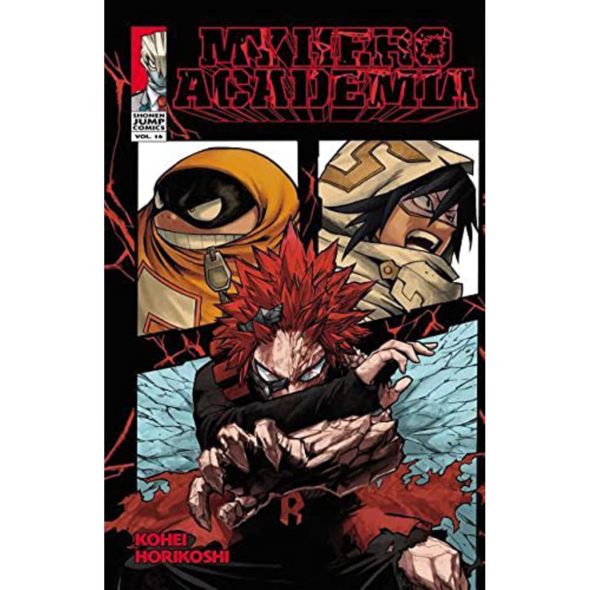 Picture of MY HERO ACADEMIA, VOL. 16