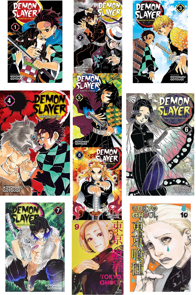 Picture of Demonslayer - Kimetsu No Yaiba  Includes volumes 1-10  (Paperback)