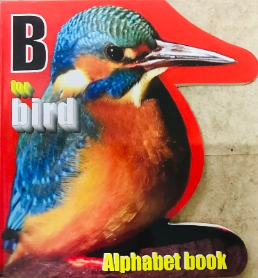 Picture of B bird (children book) paper back