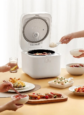 Picture of Xiaomi Mijia Quick Cooking Rice Cooker 4L 860W (MFB08M)-china Version