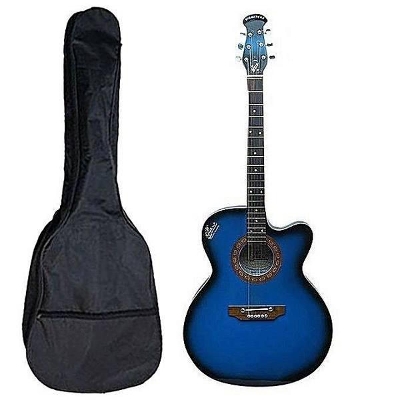 Picture of Indian Semi-Electric Signature Guitar Blue