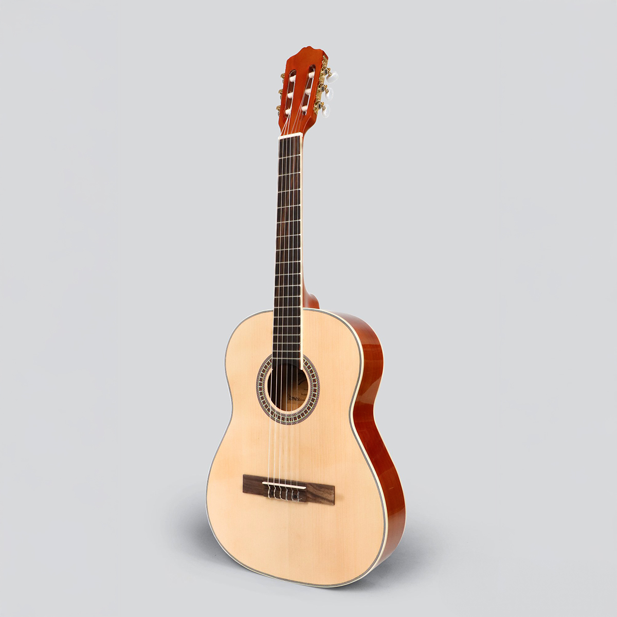 Picture of Deviser L-310N  Traveling Classical Guitar