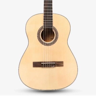 Picture of Deviser L-310N  Traveling Classical Guitar
