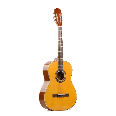 Picture of Deviser L-310-N-YN-39 Classical guitar