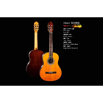 Picture of Chard Full Size 39 Inc Classical Nylon Guitar( EC3950)