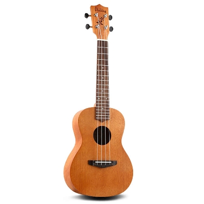 Picture of Pudding Concert Ukulele Mehogony