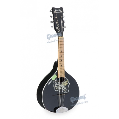 Picture of Mandolin Super Special