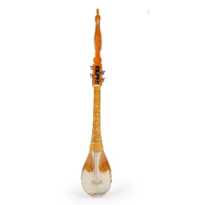 Picture of Semi Electric Dotara Custom fretboard Deluxe Bass Carved Wood Instrument, 4 String with Carrying Bag