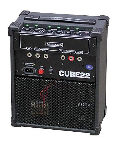 Picture of Stranger Cube 22 8" Dual Cone Speaker with 20 Watts