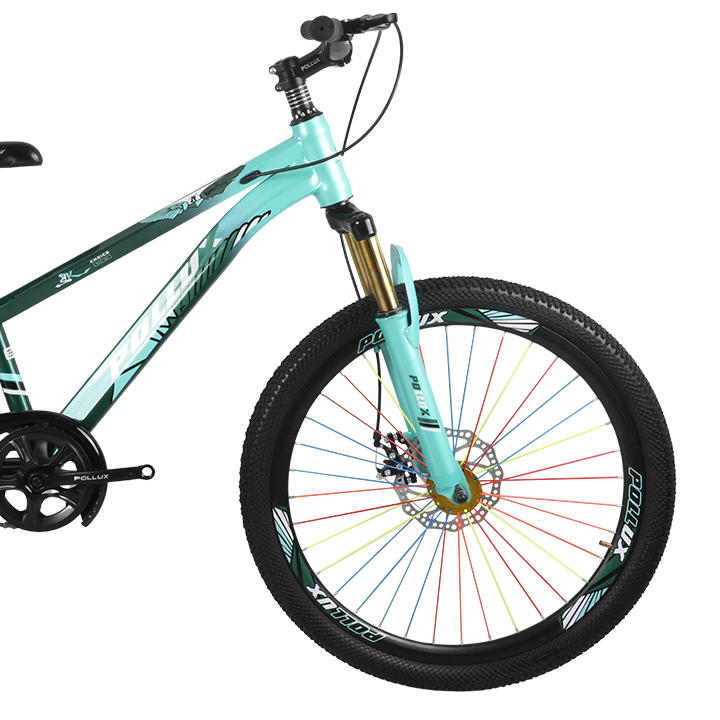 Buy China Pollux 26 inch Boys Mint Green & Dark Green Bicycle Online at Best Price in Bangladesh 