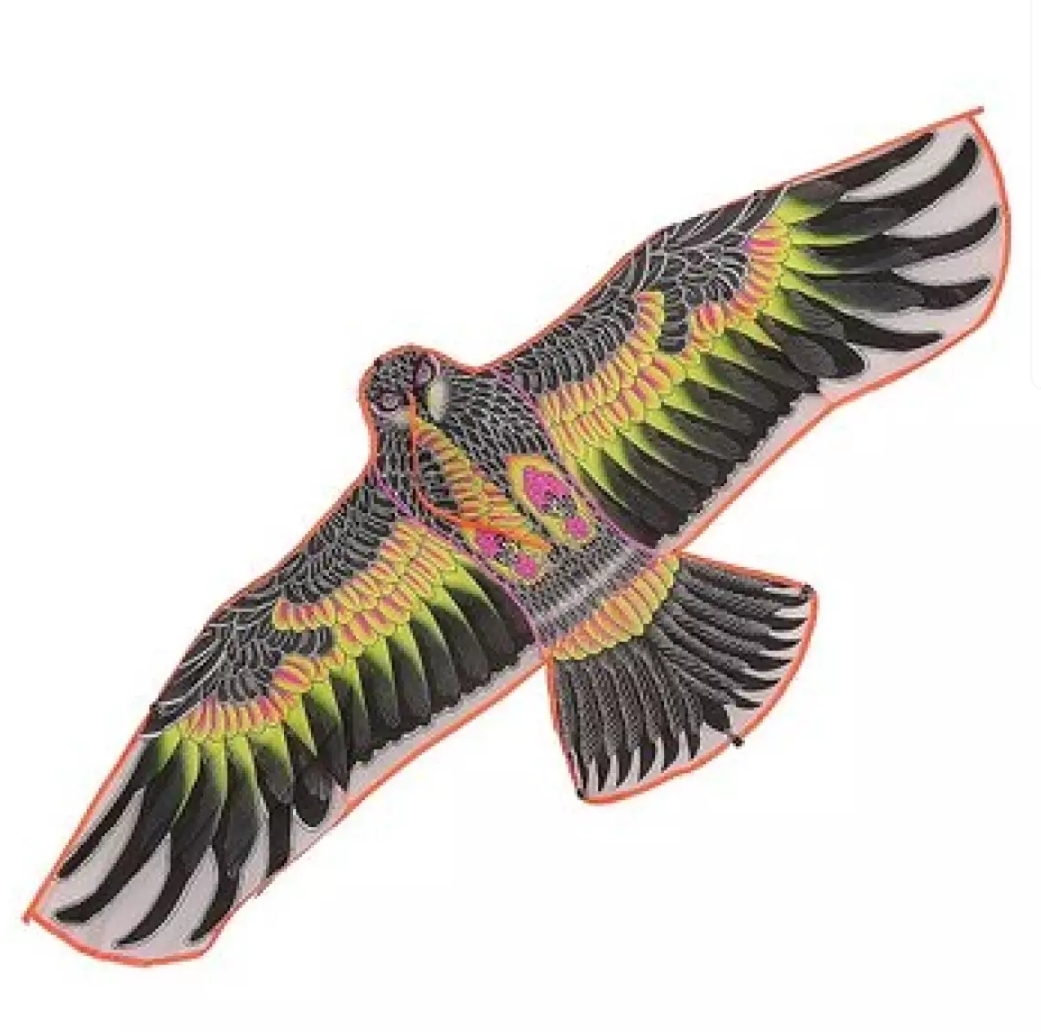 Picture of HUGE 54" EAGLE KITE WITH STRING AND HANDLE