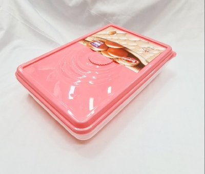 Picture of Egg Tray for Fridge with Lid for 2 Dozen 24 Egg box