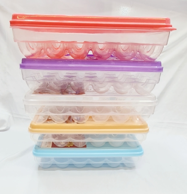 Picture of Egg Tray for Fridge with Lid for 2 Dozen 24 Egg box