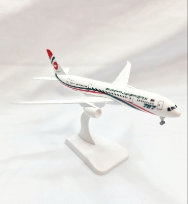 Picture of Alloy metal biman 20cm Biman Bangladesh Airlines Boeing 787 Airplane Model Stand Aircraft Gift