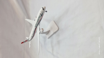 Picture of Alloy metal biman 20cm Biman Bangladesh Airlines Boeing 787 Airplane Model Stand Aircraft Gift