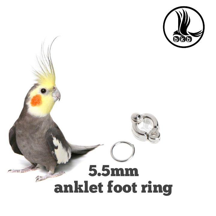 Picture of china anklet for cocatile bird cocktile ring