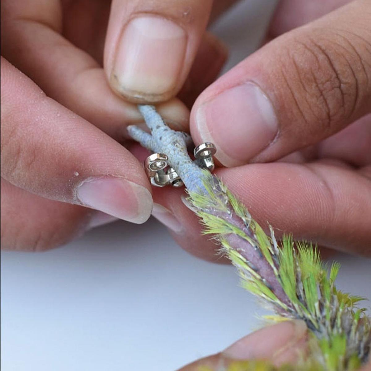 Picture of china anklet for cocatile bird cocktile ring