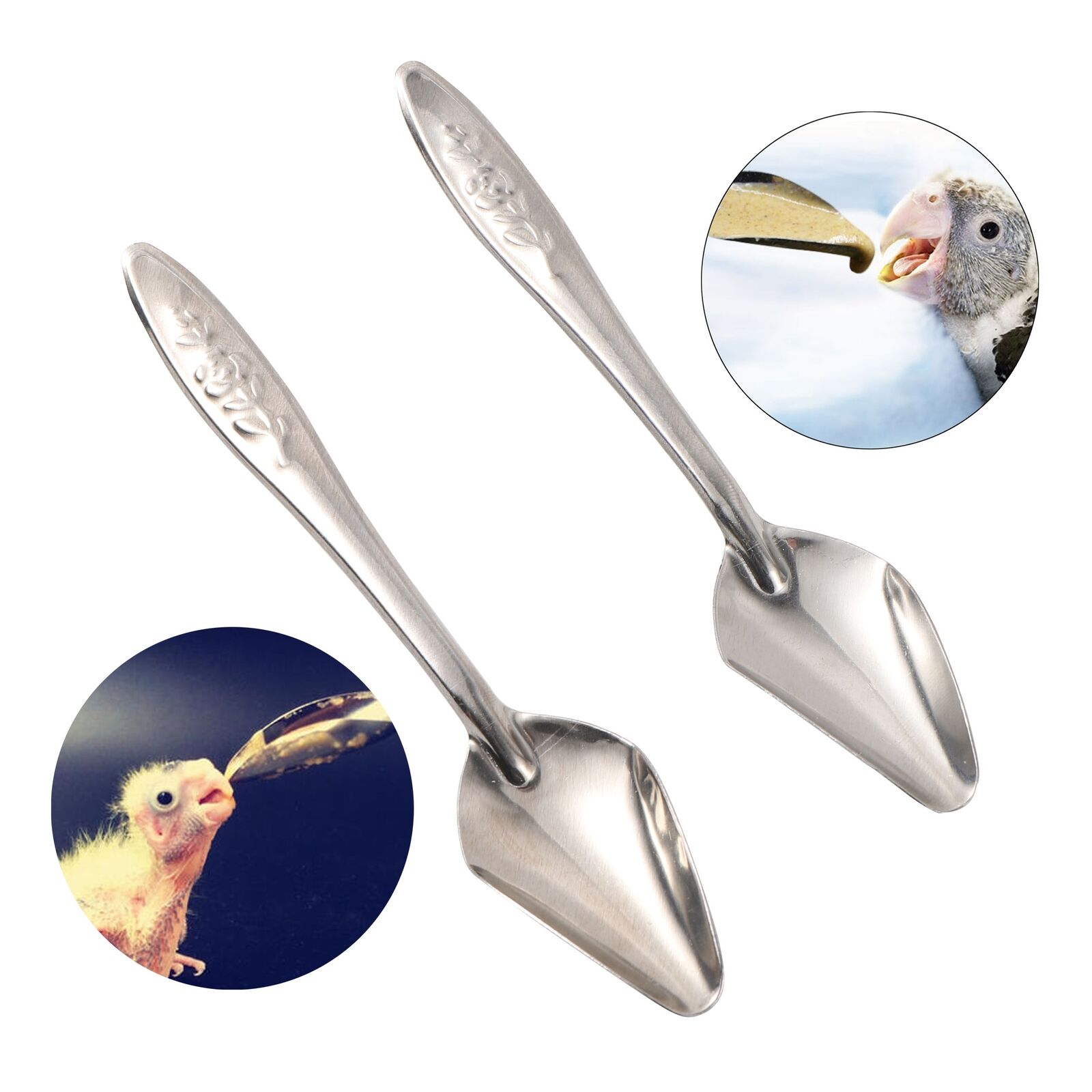 Picture of 5 pcs Feeding Spoon Bird Parrot Feeding Spoon /Stainless Steel Water Milk Powder Feeder Spoons/ bird accessories