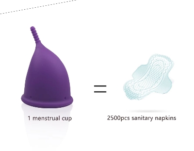 Picture of ANEERCARE Hypoallergenic Certified Reusable Menstrual Cup for Women | Large Size | Small Size | Pad