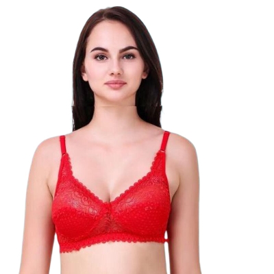 Picture of Comfortable Daily Use Net Air AC Bra For Girls